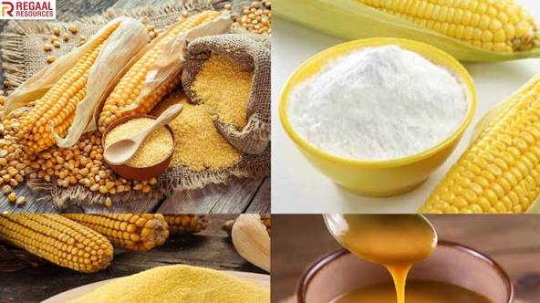 From Fields to Fortune: Regaal Resources IPO Hits the Market